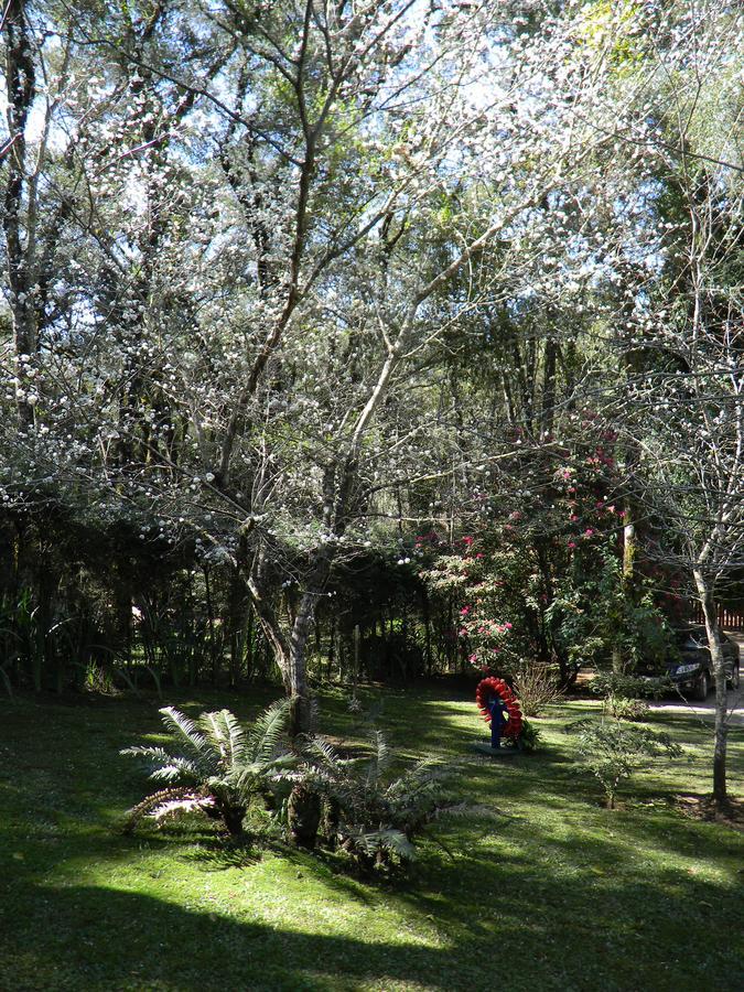 Recanto Dos Kerr Monte Verde  Esterno foto